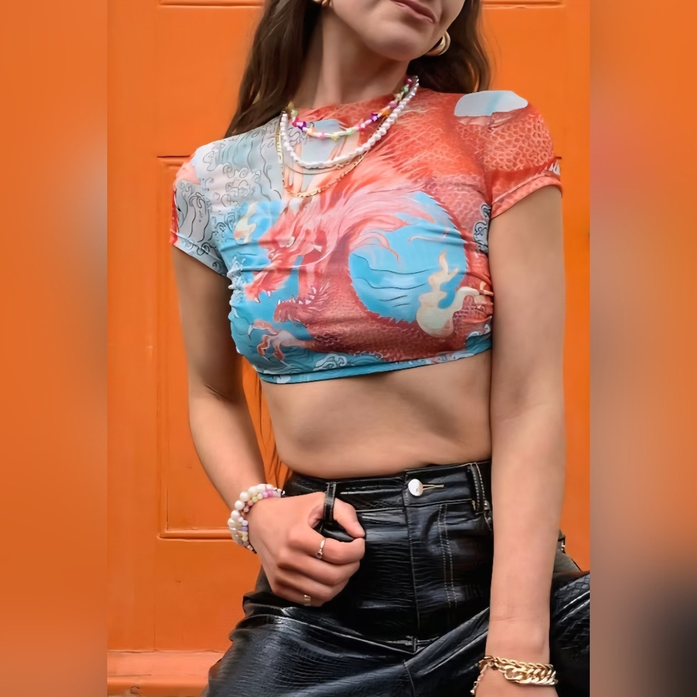 Bershka ASOS Dragon Mesh Open Back Crop Top Sz L